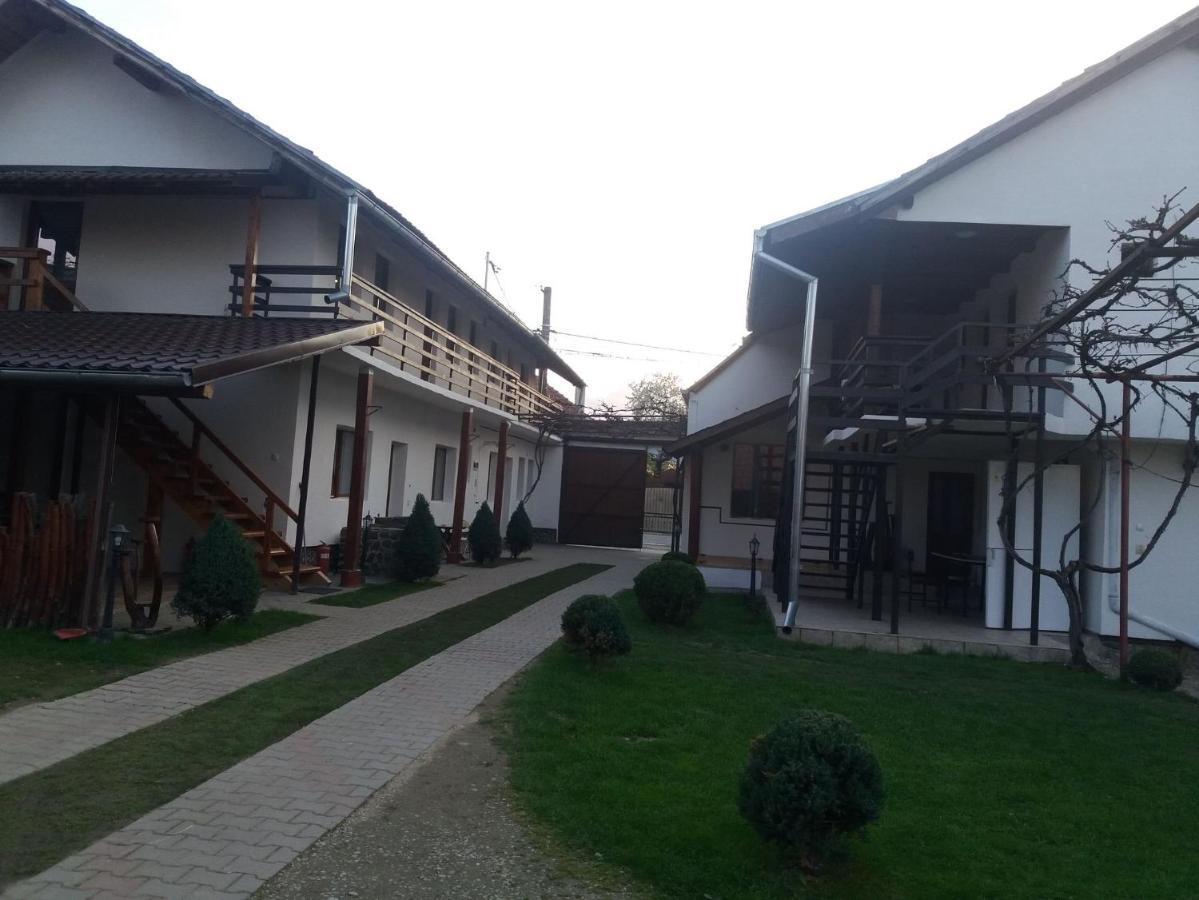 Casa Floare De Colt Hotel Cartisoara Exterior photo